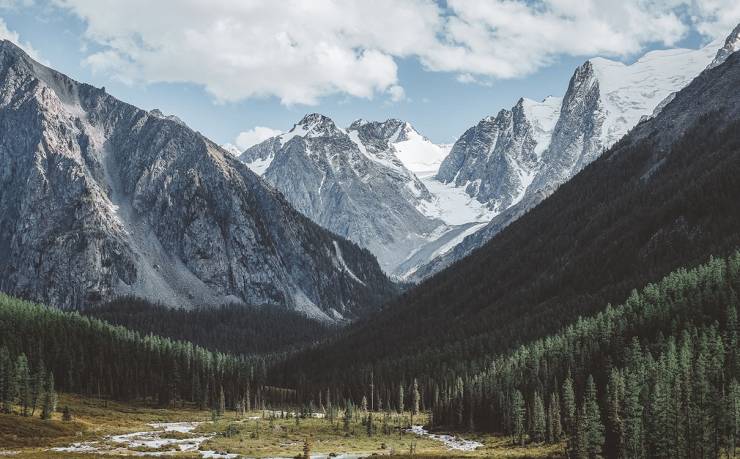 青蓮鎮(zhèn)二手電腦鑼回收市場(chǎng)現(xiàn)狀與發(fā)展趨勢(shì)分析，聚焦未來展望與趨勢(shì)預(yù)測(cè)
